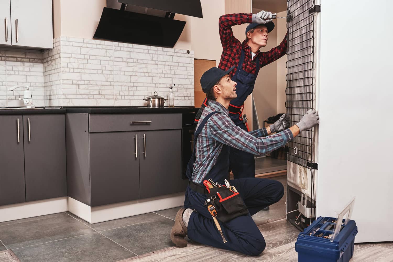 Fridge-repair